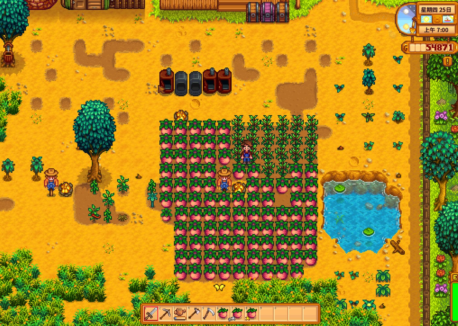 只狼：影逝二度 年度版 截图11