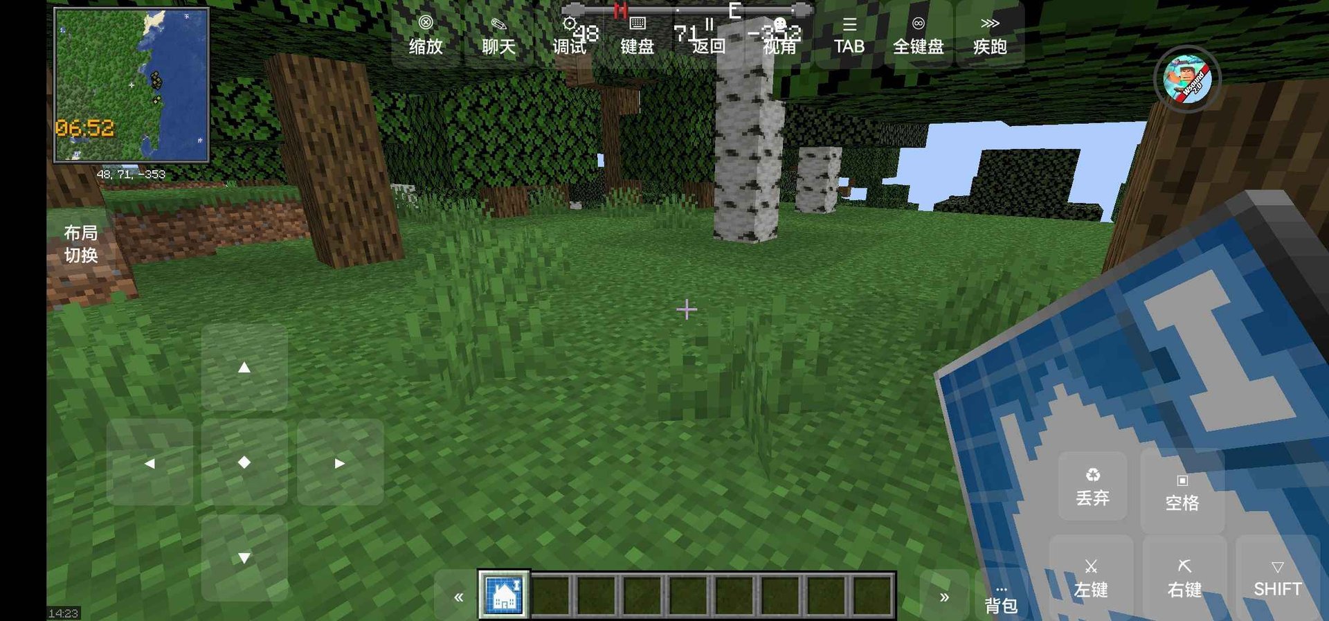 空洞骑士 豪华版 截图12