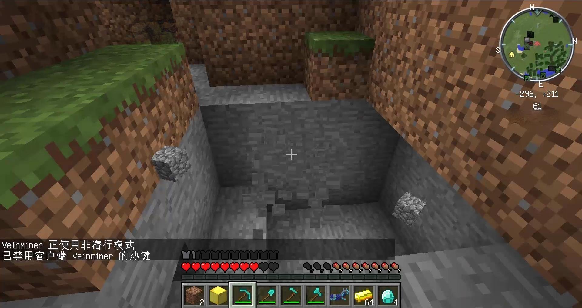 空洞骑士 豪华版 截图14